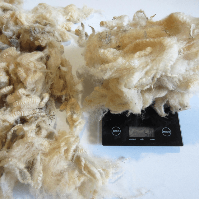 Riccioli merino (sporco) 50g.