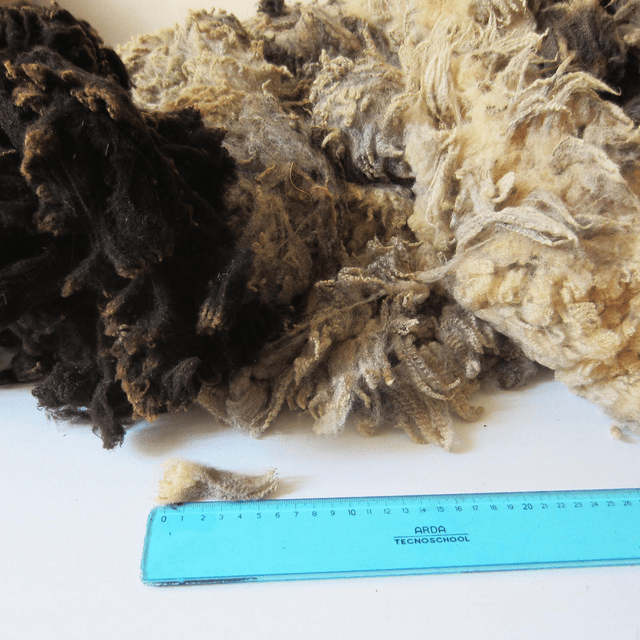 Shetland Mix (sporco), colore: nero, grigio, beige 50g.
