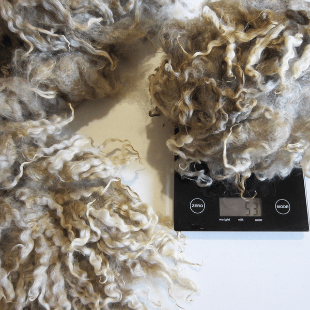 Riccioli Fine Leicester (sporco) 50g. 