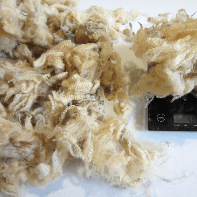 Riccioli merino (sporco) 50g.