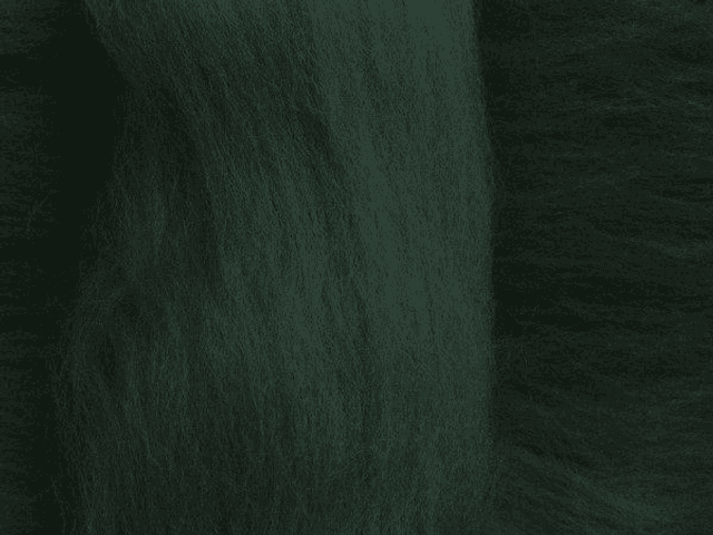 Lana merino -  Verde notte 16 mic in un nastro (50 gr.)